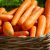Naucz się zachowywać nasiona marchewki